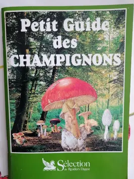 Petit guide des champignons