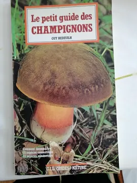 Le Petit guide des champignons