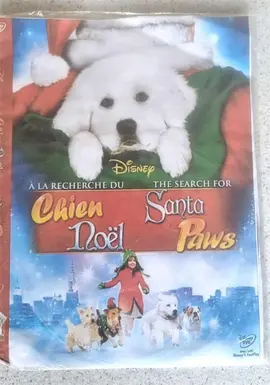 DVD "A LA RECHERCHE DU CHIEN NOEL"