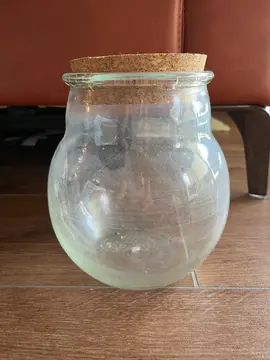 Bocal de terrarium