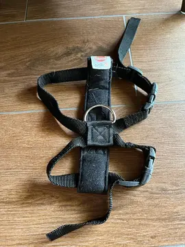 Harnais de chien taille S