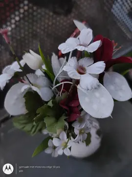 petite vase avec fleurs artificiële
