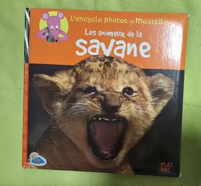 livre enfants