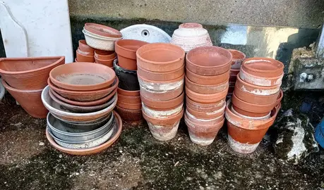 lot de pots de fleurs en terre cuite