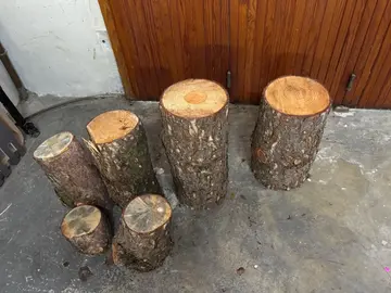 bûches sapin