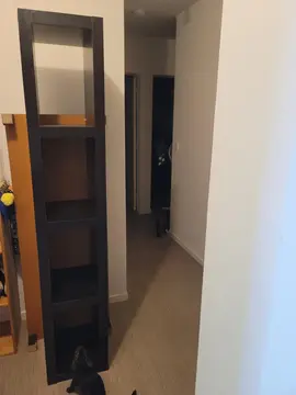 étagère ou meuble tv