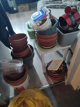 pots, décos et tuteurs bambou