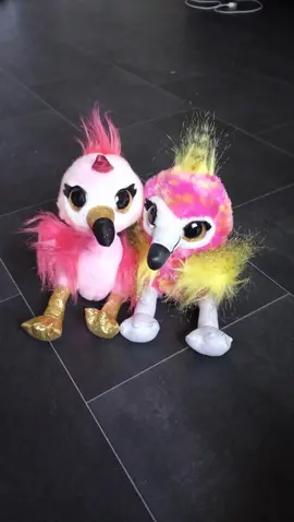 peluche
