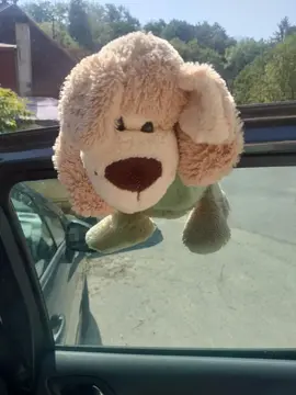 peluche