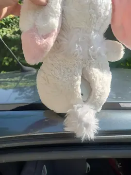 peluche