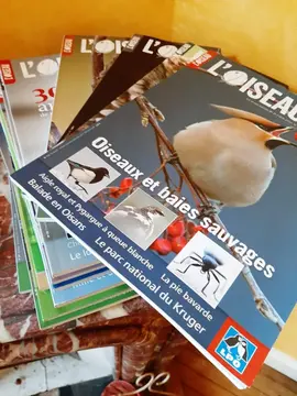 L'oiseau magazine (revue mensuelle) années autour de 2006 à 2015