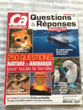Magazine
