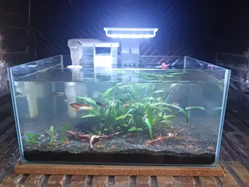 aquarium 30L.