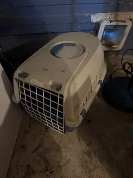 boîte chat transport