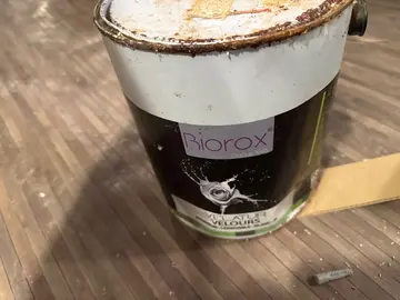 peinture 5l jamais ouvert