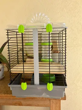 donne cage pour hamster