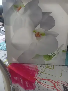 toile orchidées 50×50cm