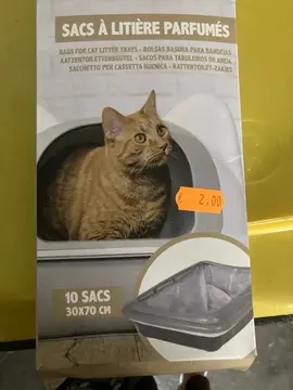 sacs a litière pour bac 30x70 cm
