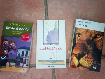 lot livres jeunesse