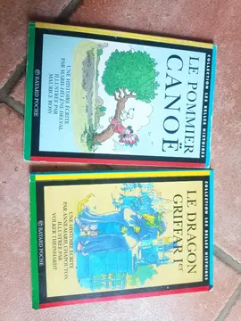 lot 2 livres belles histoires