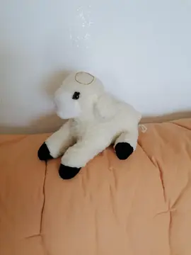 Petite peluche mouton