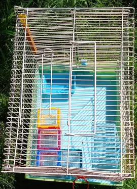 Cage pour petis rongeurs