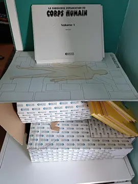 Puzzle/Lego géant du corps humain