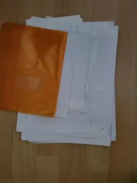 Feuilles cabrioles + 1 pochette cahier