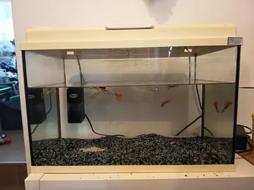 aquarium 40l