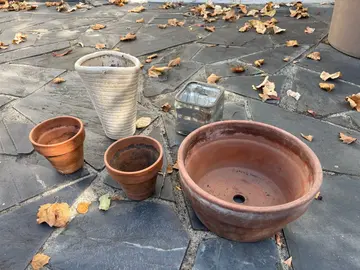 pot de plantes