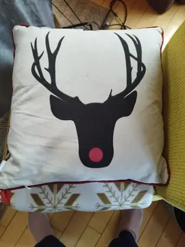 Coussin