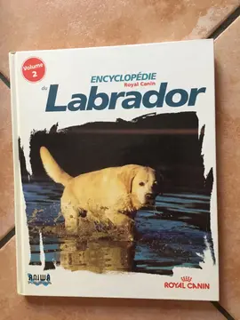 le labrador