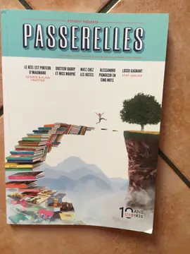 stenkis présente passerelles (BD)