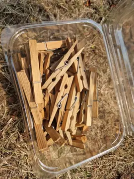 lot pinces a linges neuves en bois