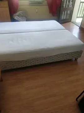 donne deux sommiers et un matelas