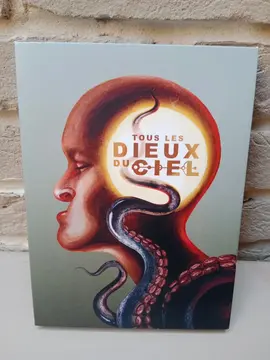 DVD Tous Les dieux du ciel