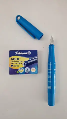 stylo plume