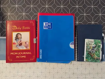 Lot de carnets vide