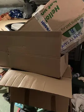 plusieurs cartons non pliés 📦