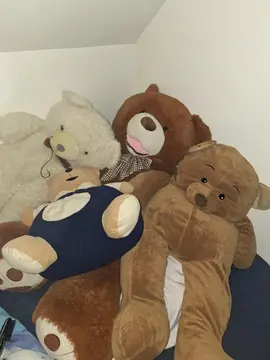 nounours