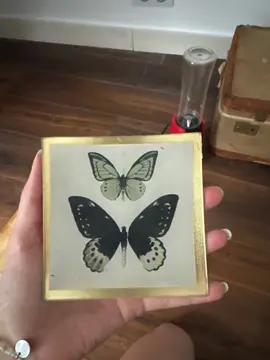 vide poche papillon