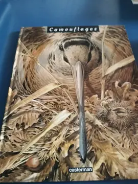 camouflage