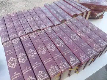 25 volumes œuvre d'honoré de balzac