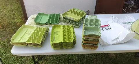 Boites à oeufs