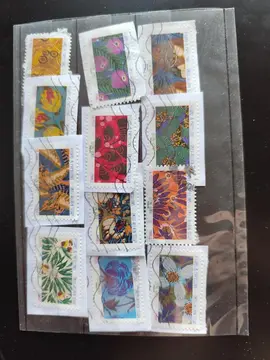 série fleurs et papillons
