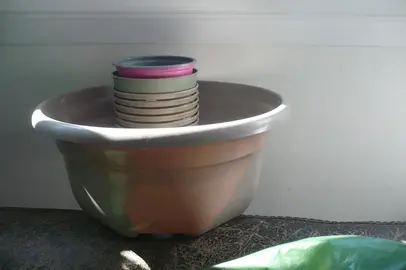 petits pots en plastique + 1 grand pot