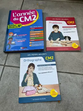 lot livres exercices devoirs CM2