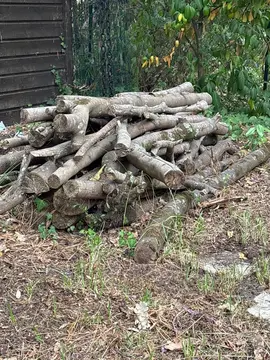 bois de chauffage