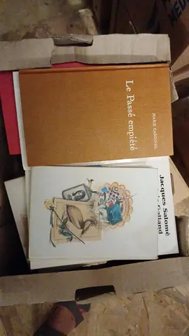 lot 13 livres anciens