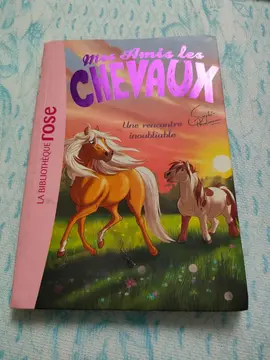 mes amis les chevaux